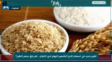 تغير جديد في أسعار الأرز الشعير اليوم لدى التجار.. كم بلغ سعر الطن؟
